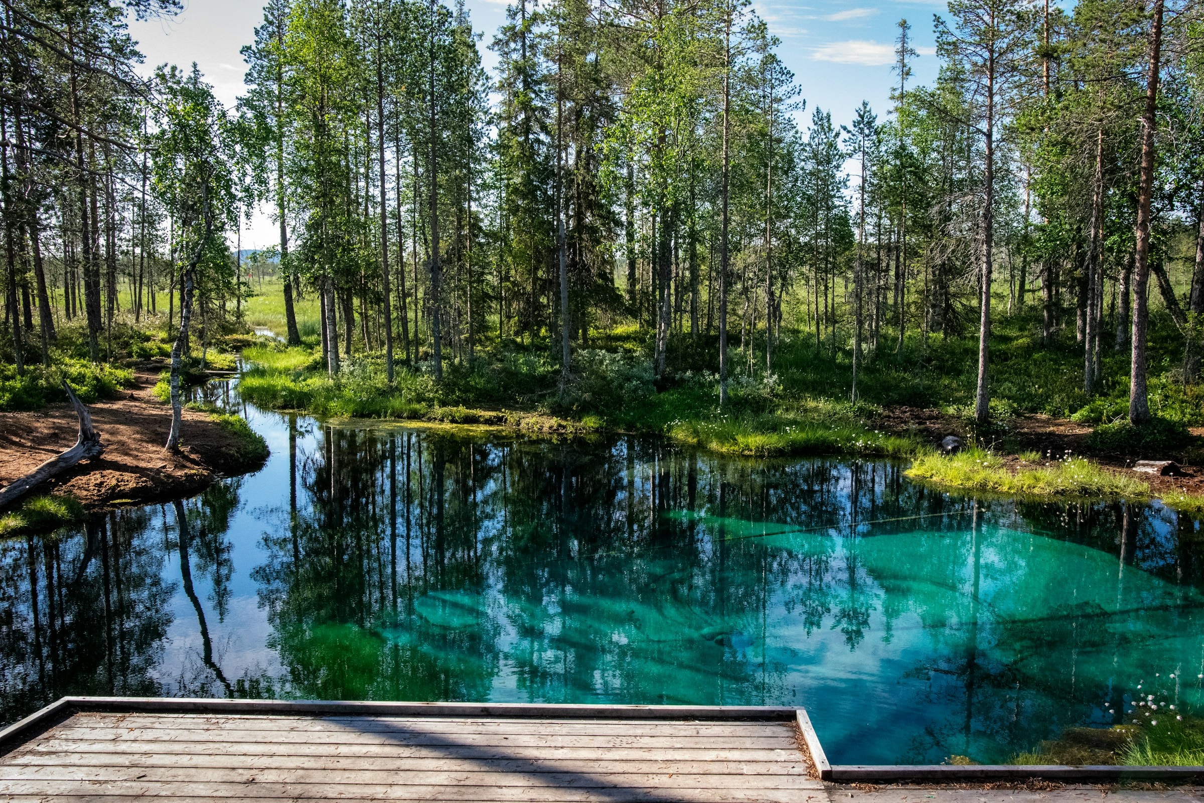 A clear turquoise forest spring, still enough to mirror the trees around it